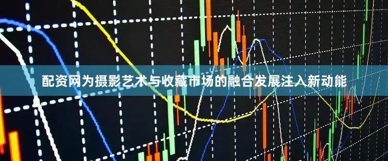 配资网为摄影艺术与收藏市场的融合发展注入新动能