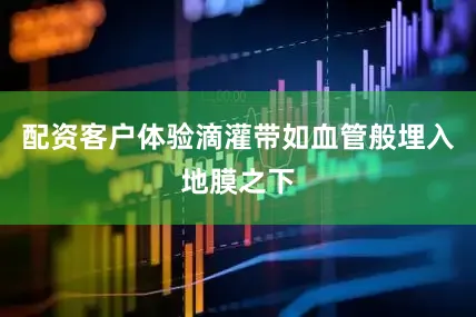 配资客户体验滴灌带如血管般埋入地膜之下
